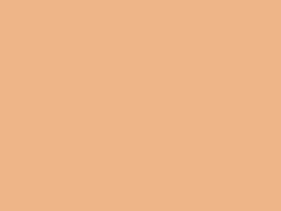 Buckskin Tan 5426 1968 Touch Up Paint