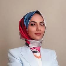 Başbakanın sitemi, bizim STK'lar,