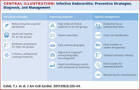 Pin By Nonas Arc On Endocarditis Patient Education Best Oral Oral Hygiene
