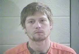 Man jailed for beating grandmother