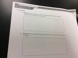 Solved Review Practice Sheet Exercise E Drawing Draw A Chegg Com Draw the differential manometer which is carrying fluids of different specific gravities. practice sheet exercise e drawing draw