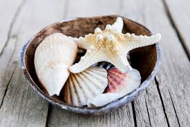 Muscheln, treibholz und sand sind prima souvenirs vom strand. Wohnen Wie Am Meer Dekorationsideen Zuhause Bei Sam