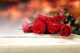 أجمل 40 خلفية عالية الدقة للورد الاحمر مداد الجليد rose flowers red flowers