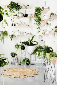 La situación actual nos ha llevado a tener que adaptar un espacio en casa para teletrabajar. Decoracion Plantas Plantas De Interior Decoracion Verde