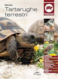 Le tartarughe di terra piccole hanno bisogno di grandi attenzione. Tartarughe Terrestri Animali Ebook Avanzi Marta Amazon It Kindle Store