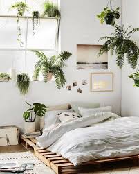 Check spelling or type a new query. Property Styling Tip Using Indoor Plants Natalie Hoye