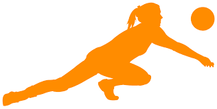 Resultado de imagen de voleibol