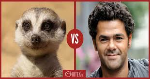 Le roi lion (bande originale française du film). On Connait Enfin Le Casting Vf Du Roi Lion