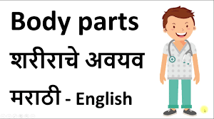 à¤¶à¤° à¤° à¤š à¤…à¤µà¤¯à¤µ In Marathi And English Human Body Parts With Pictures For Kids Youtube
