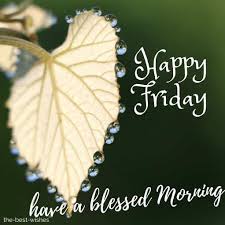 Morning quotes every morning has a new beginning, a new blessing, a new hope. 110 Beautiful Good Morning Wishes For Friday Best Images
