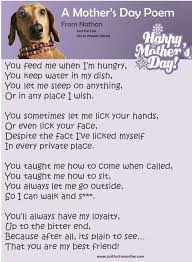 A Mother S Day Poem From The Dog Mothers Day Poems Dog Mothers Day Dog Poems