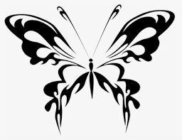 Sketsa kupu kupu adalah salah satu gambar dasar dini yang belum jadi, umumnya ia digoreskan dengan menggunakan media pensil dan sejenisnya. Vector Free Clipart Black And White Butterfly Gambar Kupu Kupu Hitam Putih Free Transparent Clipart Clipartkey