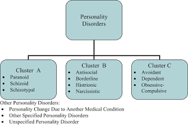 Image result for Cluster B Personality Disorder