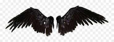 Crow Wings Png Black Angel Wings Png Transparent Png Vhv Penguins make their first appearance in the original short adventure time, where pen (known as finn in the main series) and jake use them as snowboards. crow wings png black angel wings png