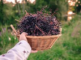 We did not find results for: Home Made Country Wine My Little Country Life