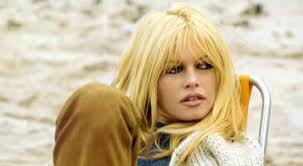 Thierry Ardisson : "Quelle ignominie !", sa femme Audrey Crespo-Mara outrée  par le journaliste qui a annoncé sa mort avant sa famille