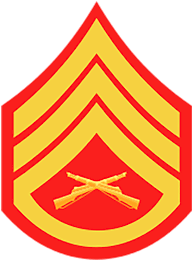 U S Military Rank Insignia