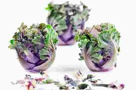 Reproduction for educational use only. Curso De Alta Cocina Vegana