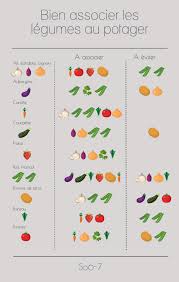 Bien Associer Les Legumes Au Potager Laure Ganisatrice Potager Association De Legumes Design De Jardin Potager