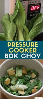 I am like so, so excited for this recipe! Pressure Cooker Bok Choy Pak Choi In The Instant Pot How To Steam Bok Choy In The Instant Pot Ins Bok Choy Instant Pot Chinese Recipes Instant Pot Recipes