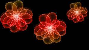 Vector horizontal banner with blue and white hydrangea flowers on white background. Best 50 Flowers Motion Background On Hipwallpaper Motion Wallpaper Emotion Wallpaper And Star Trek Motion Wallpaper