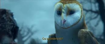 Legende din regatul bufnitelor 2010. Legend Of The Guardians The Owls Of Ga Hoole Legende Din Regatul BufniÈelor 2010 Film Cinemagia Ro