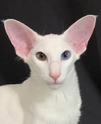 2020 South Central Awards