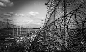 Maybe you would like to learn more about one of these? Should Asylum Seeking Minors Be Detained Understanding International And European Law And Policy And Seeking Alternative Solutions Inter Gentes