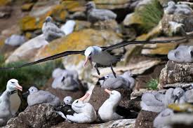 Ray & Sue (@travelandwildlifephotography) • Instagram photos and videos