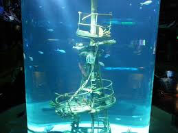 We did not find results for: Images Officials Unveil New Details For Museum Aquarium At Bass Pro Shops Ksmu Radio