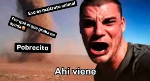 Big Bertha, la vaca que vivió 48 años, tuvo 39 terneros y brindaba con  wh1$ky en cada celebración. Big Bertha nació en una granja irlandesa y con  el tiempo se convirtió en