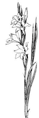We did not find results for: Flower Sketches