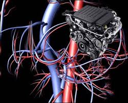 images?q=tbn:ANd9GcSSRt2jTwX-LXTks0He6tY3nOKjYE3PhMf1S1YCgoYY5ePQzSLerw