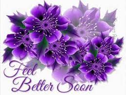 Check spelling or type a new query. Feel Better Soon Purple Flowers All Things Purple Flower Photos