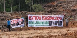 Sawit dan industri minyak kelapa sawit merupakan sa. Inspirasi Energi Benarkah Biodiesel Ramah Lingkungan Halaman All Kompas Com
