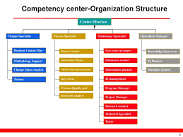 Sap Coe Organization Chart Www Bedowntowndaytona Com