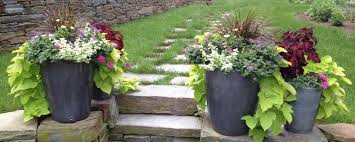 Buy Garden Decor Accessories Online At Low Prices Bulfyss Garden Gloves With Claws For Digging Plantin Garden Design Container Gardening Flowers Buy Garden