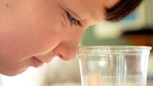 Students learn about pollution's effects