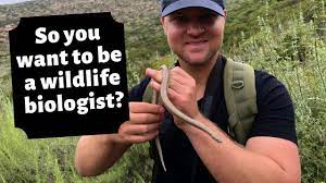How To Become A Wildlife Biologist - Youtube