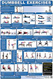 Bench Exercise Chart Full Body Dumbbell Workout Chart Full