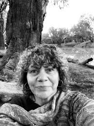 Culturally modified trees 'a national treasure' in outback NSW