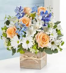 Maybe you would like to learn more about one of these? Flower Delivery San Jose Send Flowers To San Jose Ca 1800flowers