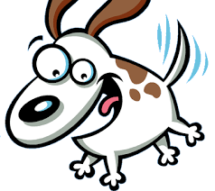 Visit doggiezen.com for ahimsa dog & puppy training class info for classes in seattle. Sound Dog Training In Seattle Dog Classes And Private Dog Training