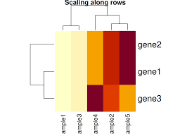 Image result for bioinformatics heatmap