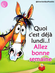 Humour rflexion philosophie etc | Facebook