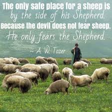 Pin On Quotes And Verses That I Love