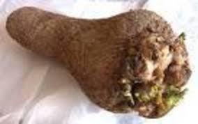 Image result for Dioscorea dregeana