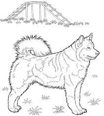 Coloring book husky page home siberian sheet print printable cute dia los muertosaby incredible numbers pre. Husky Coloring Page Free Printable Coloring Pages For Kids