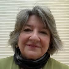 Adur local election: The 4 candidates in Buckingham