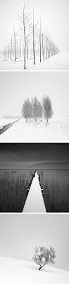 Black And White Photographs Capture The Striking Appearance Of Bare Trees Against Snow Filled Landscapes Pastel Landscape Landscape Photography Conceptual Photography